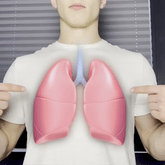 OxyFit® Entrenador Pulmonar de Alta Resistencia